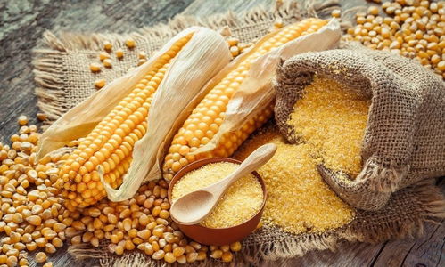 冬日便秘的隱秘推手 那些被忽視的日用品因素